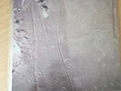 Brian Eno - Apollo Atmospheres & Soundtracks - vinyl LP