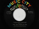 Sweet Soul/Funk 45 - Two Things In One - Together Forever - Music City VG++ mp3