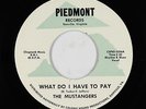 Northern Soul 45 - Mustangers - What Do I Have To Pay - Piedmont - VG++ mp3