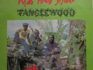 TANGLEWOOD LP Rise and Shine in sehr gutem Zustand, sehr rar, 1985 orig.