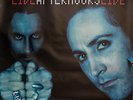 AFTERHOURS poster manifesto 100 X 70 CM LIVE Tour 1999 VELVET RARO Agnelli