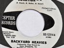 BACKYARD HEAVIES Soul Junction / Expo 83 SCEPTER 45 funk 7” HEAR