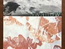 Vinyl LP Swallow / Blow 4AD Vintage Rare CAD2010 1992 Cocteau Twins Goth 90s