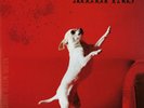 Melvins - Nude with Boots LP Red Translucent