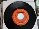 Rare Freakbeat Garagerock 45 The Scenery (Ian Hunter Mott The Hoople) 1967