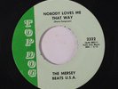 MERSEY BEATS U.S.A.: Nobody Loves Me That Way / 30 Second Lover 45 (1967 Shivel