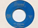 Northern Soul  45 - BOBBY GARRETT *   My Little Girl *   MIRWOOD  70 ' s Press