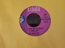 The Majestics i love her so much it hurts me 45-rare northern soul