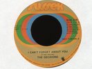 THE DECISIONS I Can't Forget About You on Sussex Promo Northern Soul 45 Hear