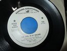 DAVID AND RUBEN (I Love Her So Much) It Hurts Me Northern Soul 45 EXC Promo