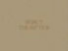 The Rip Tide by Beirut (Vinyl, Aug-2011, Pompeii)