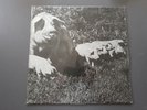 LP / PINK FLOYD / THE BEST TOUR 72 / LIVE UK