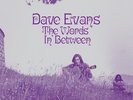 DAVE EVANS THE WORDS INBETWEEN NEW SEALED VINYL LP IN STOCK
