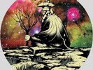 ANYWHERE 'Olompali' LP Picture Disc - edition of 500 melvins nirvana mars volta
