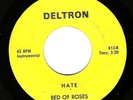 MICHIGAN GARAGE PSYCH 45 