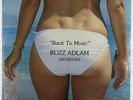 Buzz Adlam Orch. - Back To Music LP - Shamrock - Private Jazz Cheesecake SEALED