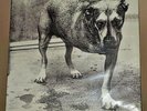 Alice in Chains Self Titled Tripod LP Record 1st US Press Columbia Rare Staley