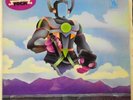 Vinyl-LP: The Can 