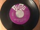 RAY SMITH “One Wonderful Love / Makes Me Feel Good” 1960 Rockabilly JUDD 1019 EX