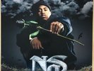 Nas Hip Hop Is Dead PROMO Def Jam Vinyl 2LP with insert