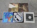 LED ZEPPELIN II-IN THROUGH-ROBERT PLANT-SHAKEN 'N' STIRRED-THE FIRM-S/T-4 LP'S