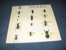 LP - Syd Barrett - Barrett same - Harvest - Member of Pink Floyd