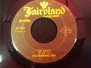 THE MORNING DEW--GO AWAY / BE A FRIEND--FAIRYLAND--45-1003--1967 GARAGE FUZZ