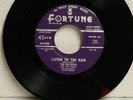 THE DELTEENS Listen To the Rain FORTUNE 541 M-