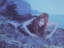 Roxy Music - Siren (Vinyl) Vinyl LP Virgin NEW