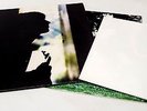 PAUL WELLER (THE JAM) 'Wild Wood' Vinyl LP Gatefold With Poster - L32