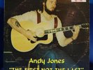 ANDY JONES The first not the last Private ORIG LP 70s Loner Psych Folk Mellotron