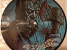 DISMEMBER - SKIN HER ALIVE - Picture 7