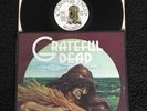 Grateful Dead - Wake Of The Flood (Eyes Of The World etc) Vinyl LP K 49301 (1973