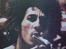 ROOTS LP / BOB MARLEY & THE WAILERS / CATCH A FIRE / TUFF GONG FIRST PRESS