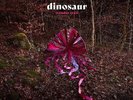 DINOSAUR Wonder Trail LP Vinyl NEW 2018