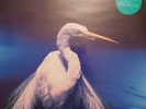 Faith No More Angel Dust Limited Edition 2 vinyl lp album 828 326-1 1992