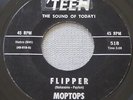 MOPTOPS Flipper / Mop-Top (1965 US 45) Rare Hawaii Garage, LISTEN MP3