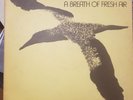 Albatross 