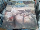 Quantic Flowering Inferno Will Holland Dog With A Rope LP