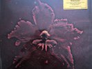 Machine Head LP The Burning Red - Colored Vinyl, Limited Edition 3000 copies