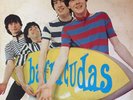 THE BARRACUDAS Drop Out With The LP 1980 Australia Original RARE