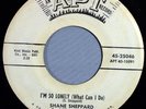 HEAR IT 60's Doo-Wop Promo 45 rpm record Shane Sheppard & Limelites from 1960