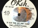 NORTHERN SOUL 45 -  THE LITTLE FOXES - SO GLAD YOUR LOVE DON'T CHANGE PROMO HEAR