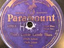 Paramount 14219 Charlie Jackson Papa's Lawdy Lawdy Blues  V+ 78 rpm 1925