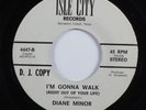 Northern Soul 45 DIANE MINOR I'm Gonna Walk... ISLE CITY promo HEAR