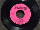 THE RAMROCKS Lasagna PRESS 2804  Listen  MAD MIKE