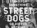 Street Dogs	Stand For Something Or Die For Nothing VINYL LP NEW/MINT(29thJUNE)