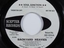 Funk Breaks 45 BACKYARD HEAVIES Soul Junction SCEPTER promo HEAR