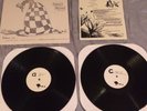 Hop Along, Queen Ansleis* ?– Freshman Year Double LP Vinyl