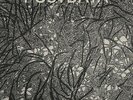 Postdata - Let's Be Wilderness [New Vinyl LP]